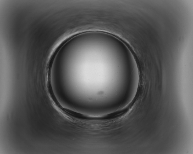 X0000085211511200703091128