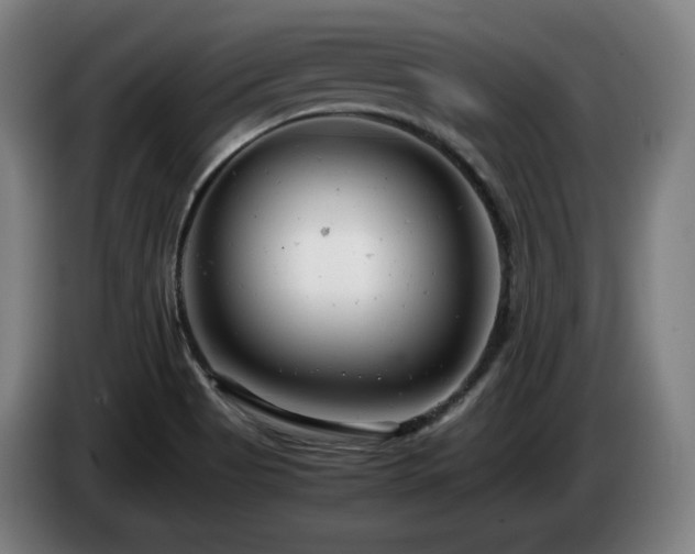X0000085211513200703091128