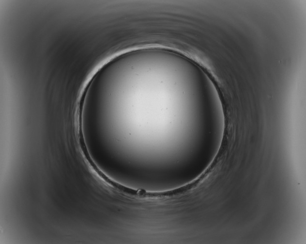 X0000085211516200703091128