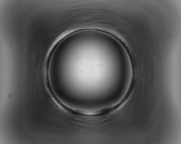 X0000085211517200703091128
