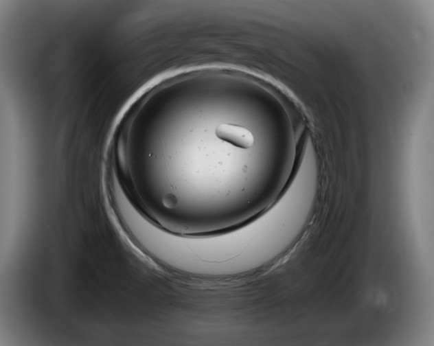 X0000085211518200703091128