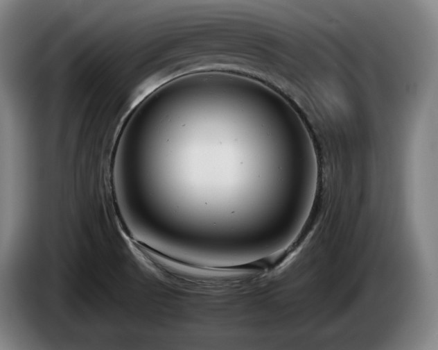 X0000085211521200703091128