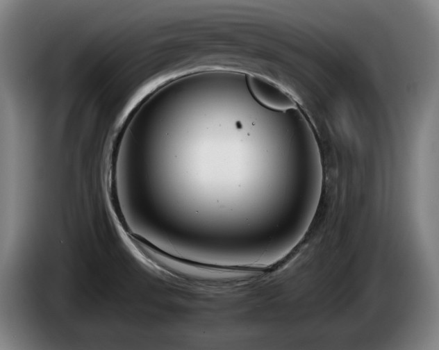X0000085211523200703091128