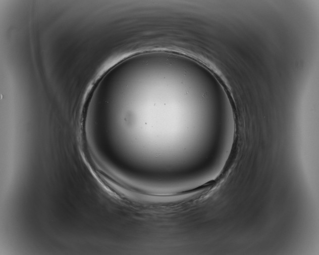 X0000085211525200703091128