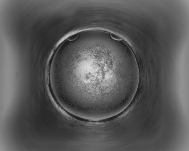 X0000085211526200703091128