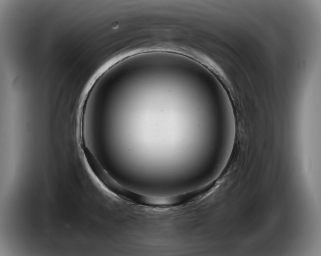 X0000085211528200703091128