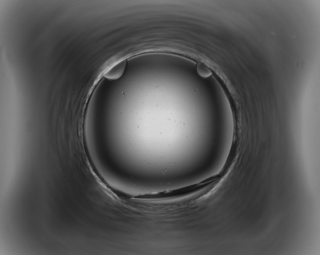 X0000085211529200703091128