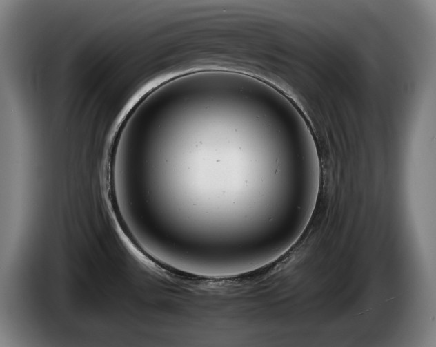 X0000085211531200703091128