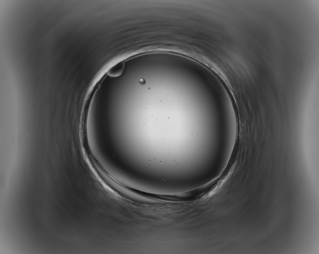 X0000085211533200703091128