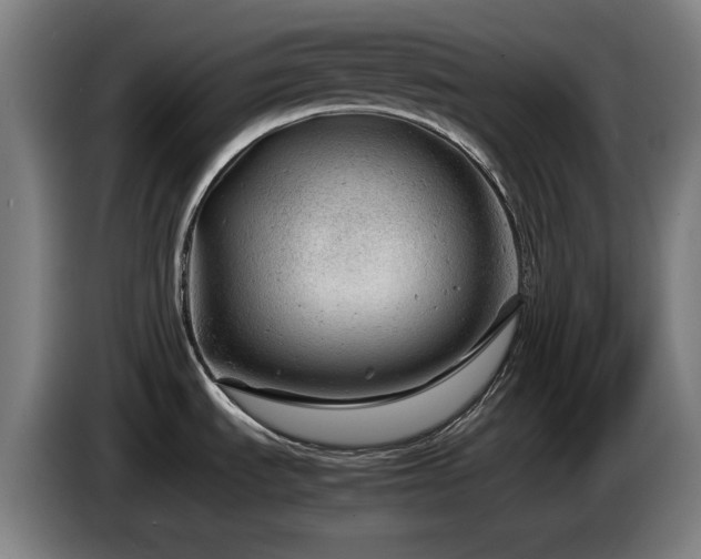 X0000085211535200703091128
