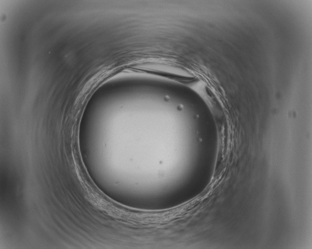 X0000085210001200703161231