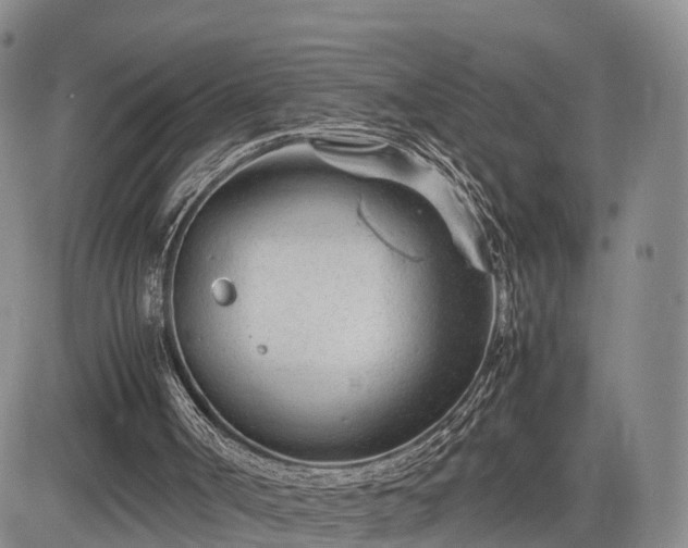 X0000085210002200703161231