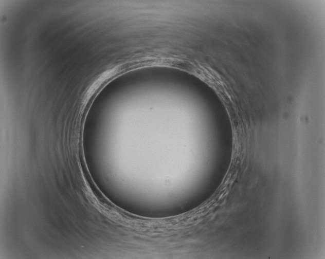 X0000085210003200703161231