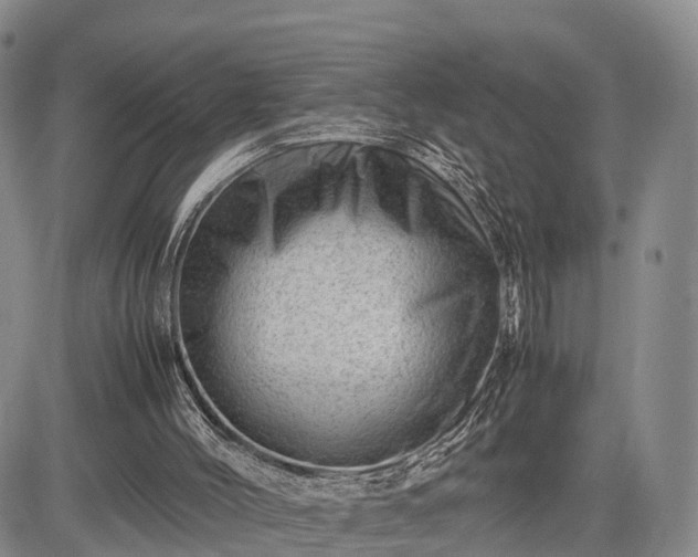 X0000085210004200703161231