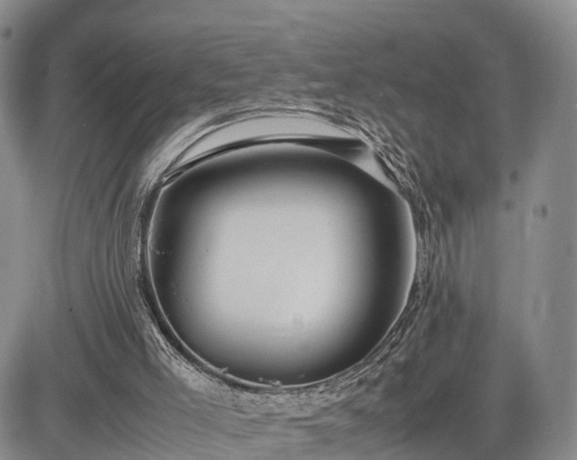 X0000085210005200703161231