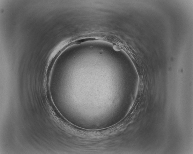 X0000085210006200703161231