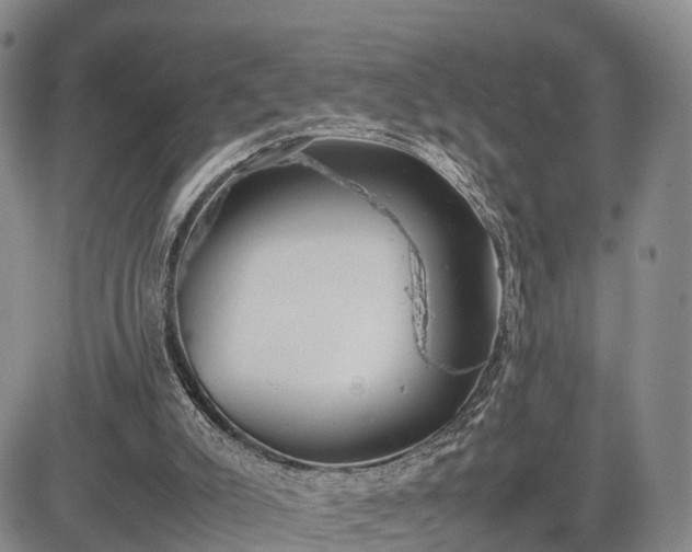 X0000085210007200703161231