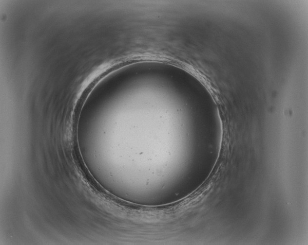 X0000085210008200703161231