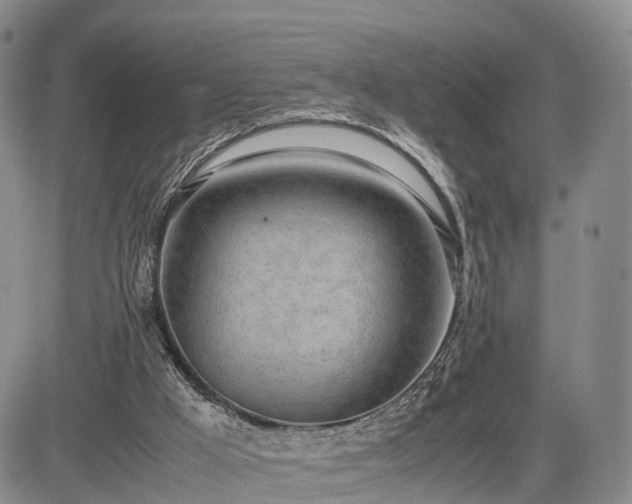 X0000085210009200703161231