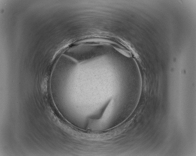 X0000085210010200703161231