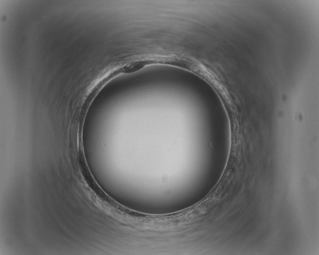 X0000085210011200703161231