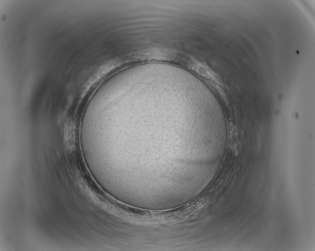 X0000085210012200703161231