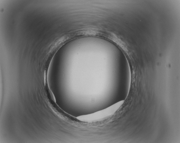 X0000085210013200703161231