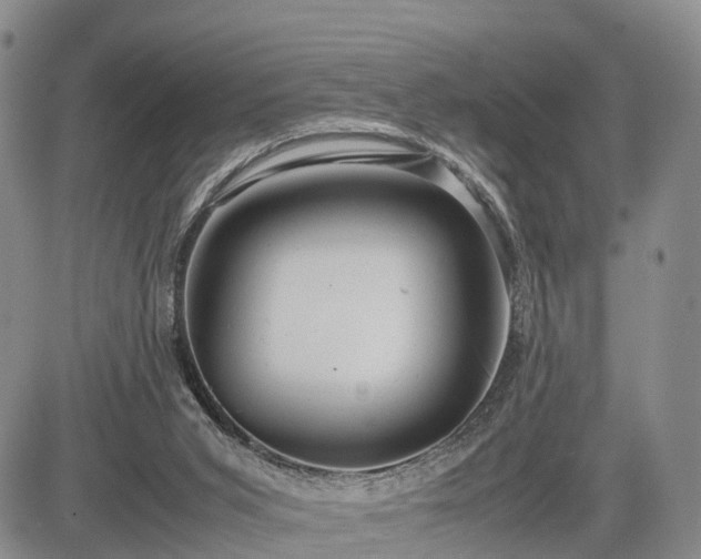 X0000085210015200703161231