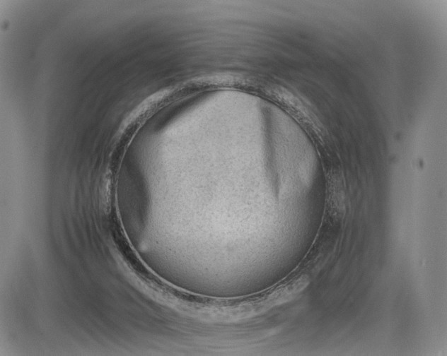 X0000085210016200703161231