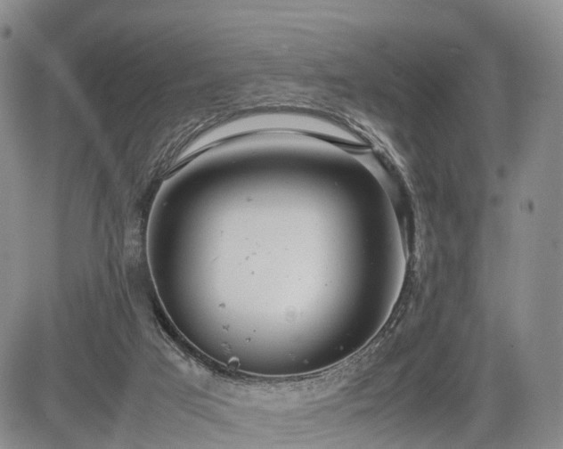 X0000085210017200703161231