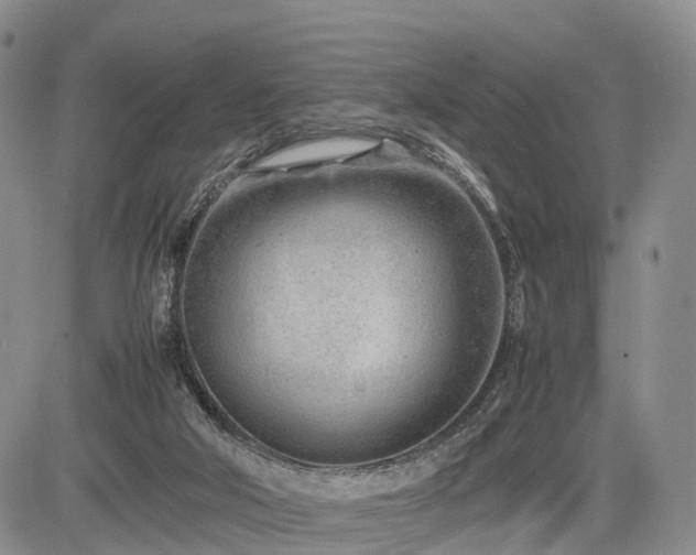 X0000085210018200703161231