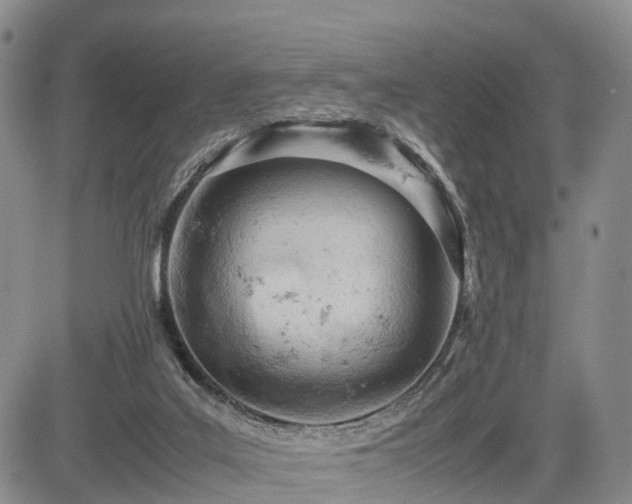 X0000085210019200703161231