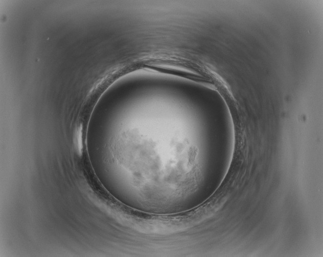 X0000085210020200703161231