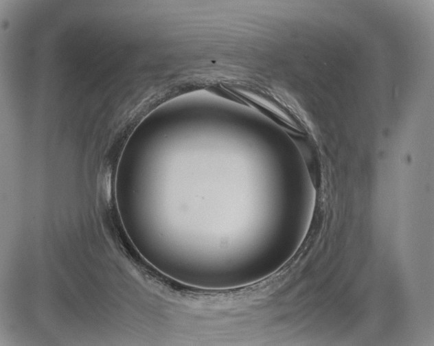 X0000085210021200703161231