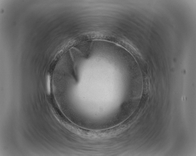 X0000085210022200703161231