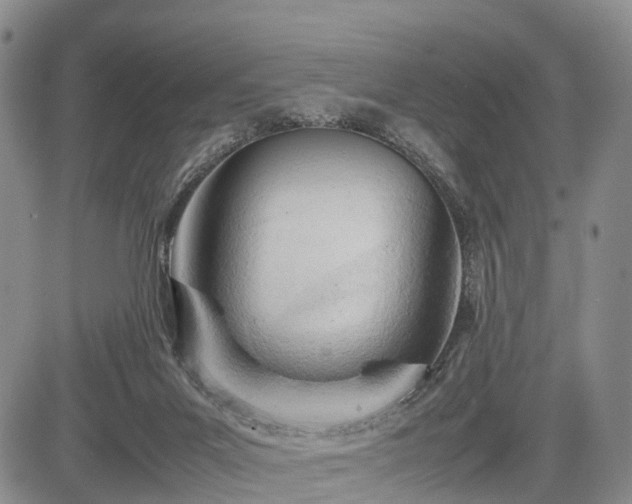 X0000085210023200703161231