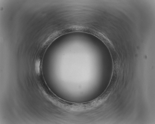 X0000085210024200703161231