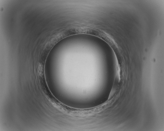 X0000085210025200703161231