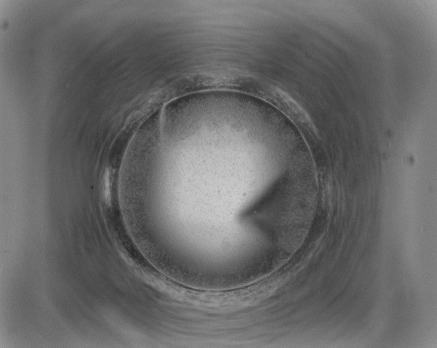 X0000085210026200703161231