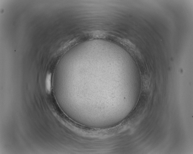 X0000085210028200703161230