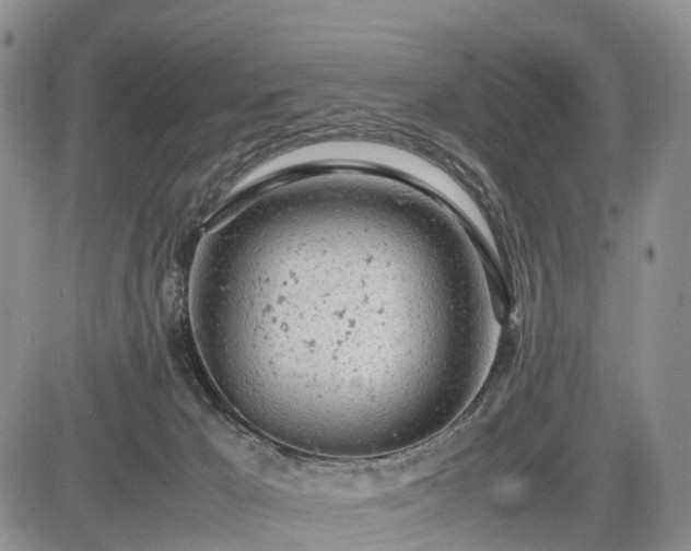 X0000085210029200703161230