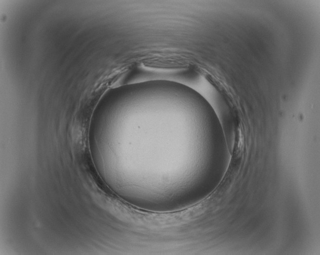 X0000085210031200703161230