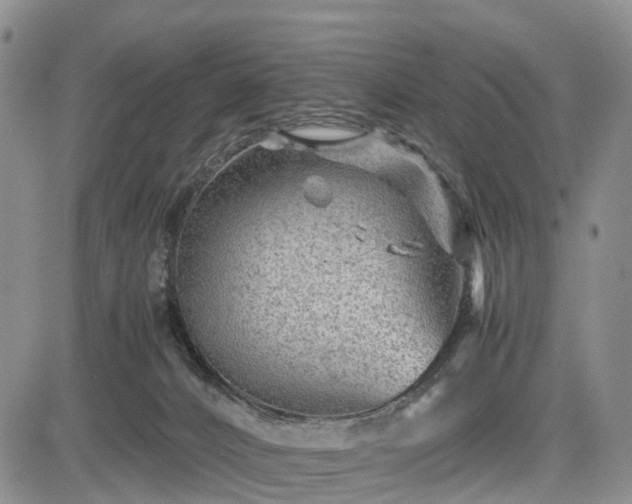 X0000085210032200703161230