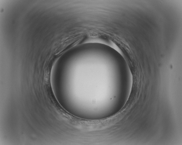 X0000085210033200703161230