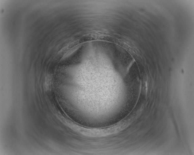 X0000085210034200703161230