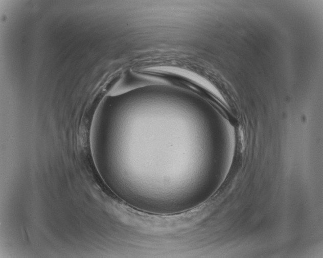 X0000085210035200703161230