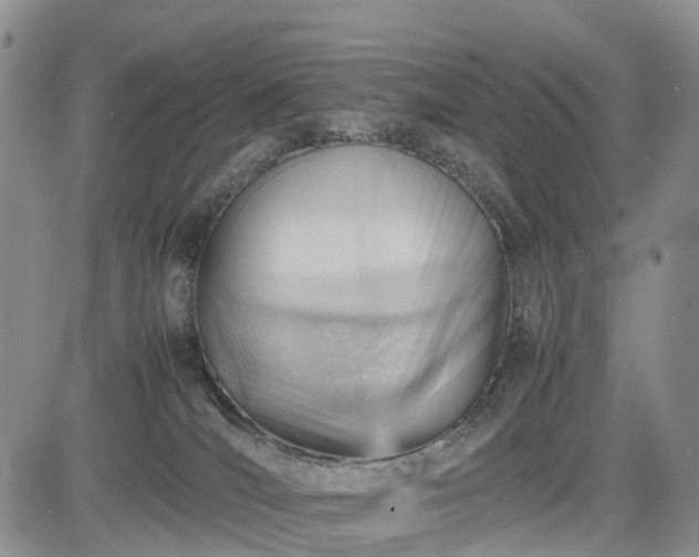 X0000085210036200703161230