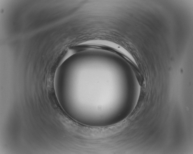 X0000085210037200703161230