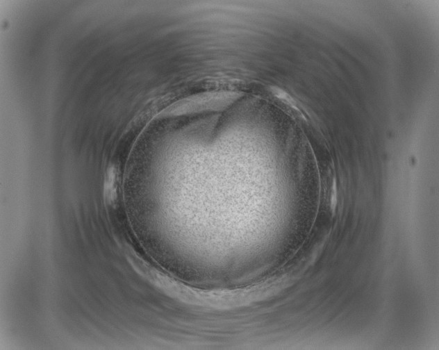 X0000085210038200703161230