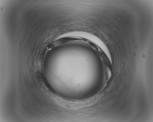 X0000085210039200703161230